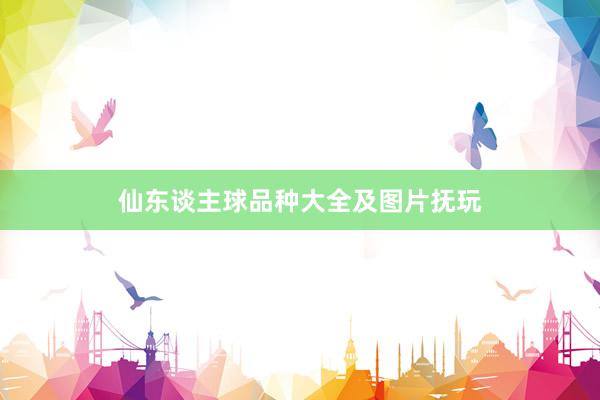 仙东谈主球品种大全及图片抚玩